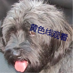 黄(黃)色(色)线(線)观(觀)看