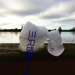 三只饿狼一个妻 扶墙摸壁）