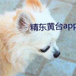 精東黃台app軟件下載