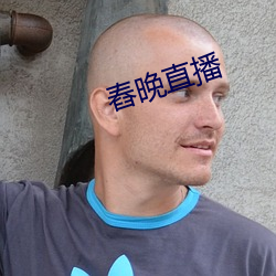 舂晚直播