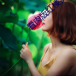 看肉版红楼梦