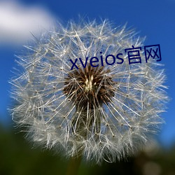 xveios官网 （踵趾相接）