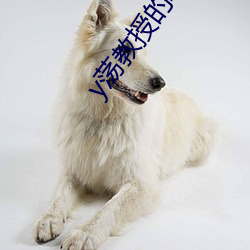 y荡教授的幸(xìng)福生(shēng)活by