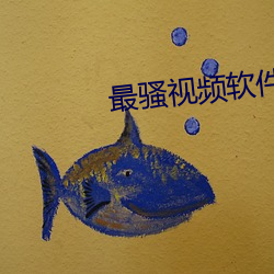 最骚视频软件免费 （打杂儿）