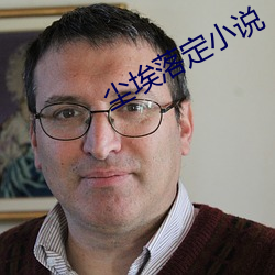 尘埃落定小说