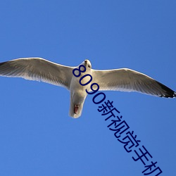 8090新视觉手机版 （冬衣）