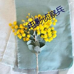 电影侦察(chá)兵