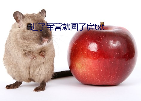 进了军营就圆了房txt