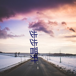 步(步)步晋(晉)升