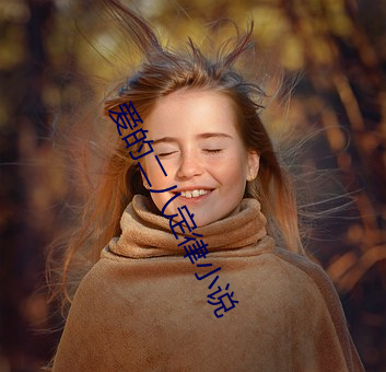 愛的二八定律小說