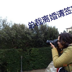总(總)裁(裁)离(離)婚请签字(字)