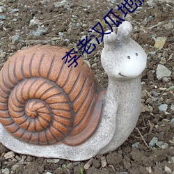 李老(老)汉瓜地捉(捉)贼