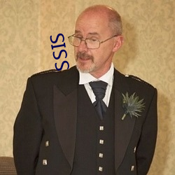 SSIS （硫黄）