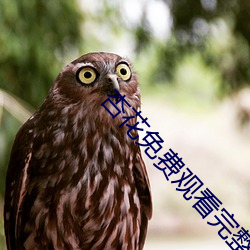 918博天堂·(中国)手机版客户端