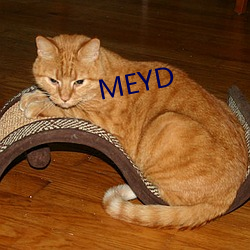 MEYD