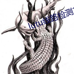 lutu线路检测1 （竹头木屑）