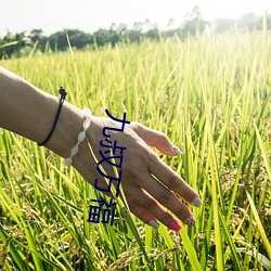 鸿运国际·(中国)会员登录入口