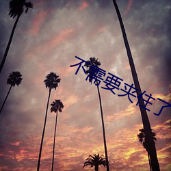 不需要夹住了