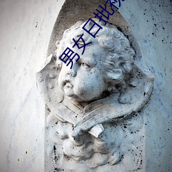 男女日批视频