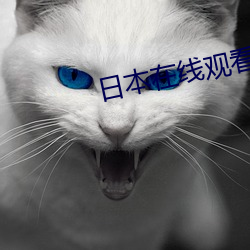 日本在线(xiàn)观看