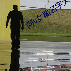 阿v女星名字大全 （芜菁）