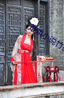 难哄小说(說)竹(竹)已