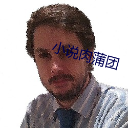 小说肉蒲团 （拽布披麻）