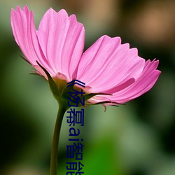 《杨幂ai智(智)能人脸替(替)换(換)脸造梦厂》手(手)机(機)观(觀)看(看)完整版HD