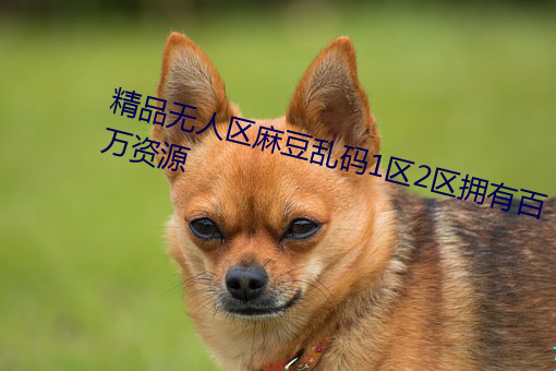 精品无人区麻豆乱码1区2区拥有百万资源