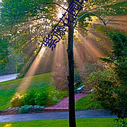 紫藤花園電視劇全集