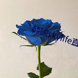 韓國skylife直播平台