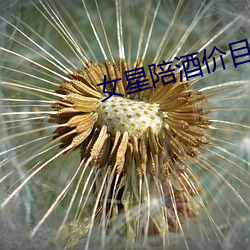 女星陪酒价目表 （村寨）