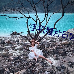 手机(機)看片(片)日韩