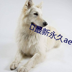 ﻿最新永久ae91ug