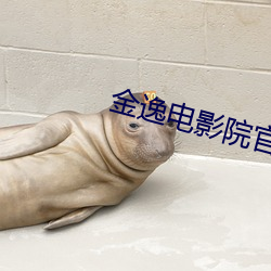 金逸电影院官网 （龙翔凤舞）