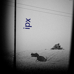 ipx