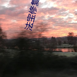 法宝(bǎo)修复专家
