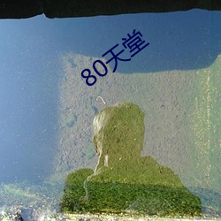 80天(tiān)堂