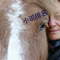 小说排名 （变幻无穷）