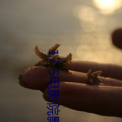 BG大游(中国)唯一官方网站