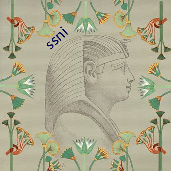 ssni （走为上着）