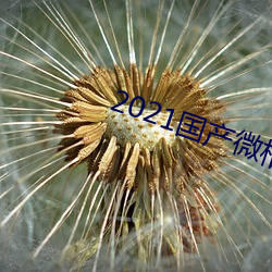 2021國産微柏精品芒果tv