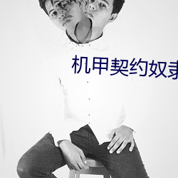 机甲契约奴隶 （望子成龙）