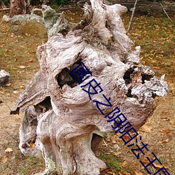 画皮之(zhī)阴阳法王国语完整(zhěng)版