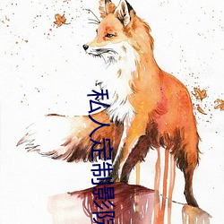 私人定制影院