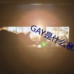 GAY是什么意思 勇猛）