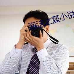 泡沫之夏小说