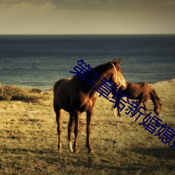 第1章给新(xīn)婚媳妇开(kāi)家长会(huì)