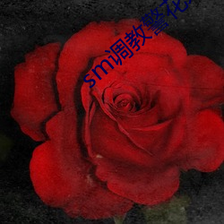 sm调教警花系列