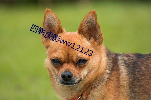 四影(影)虎影(影)ww12123